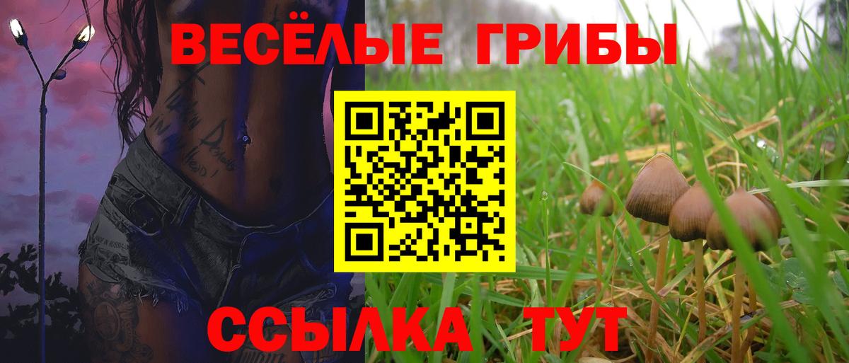 Галлюциногенные грибы мицелий Муравленко